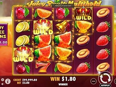 Explore the Exciting Features of Juicy Fruits Multihold Demo for Thrilling Gameplay Experience
