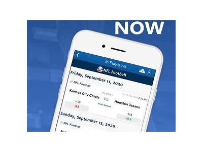 Download the Free WillBet App for iPhone and Enjoy Seamless Betting Experience