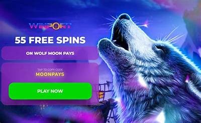 Get the Latest Willbet Casino Bonus Codes for Big Wins