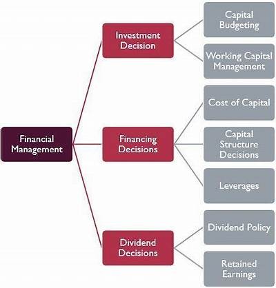 Discover the Benefits of Using the Fortune Ox App for Enhanced Financial Management and Investment Insights