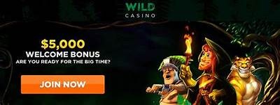 Get the Latest Willbet Casino Bonus Codes for Big Wins