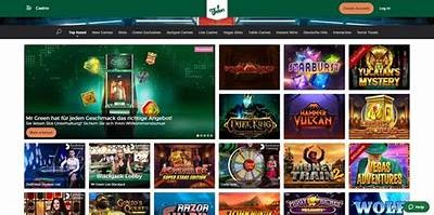 Exploring the Innovative Features and Benefits of Mr Green AT Online Gaming Platform
