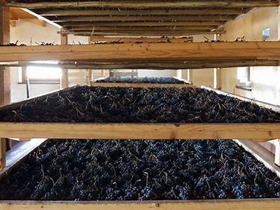 Exploring the Unique Tasting Experience of The Bomb Appassimento Wine Style