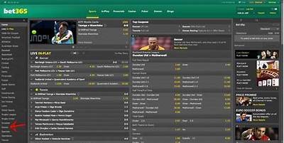 Comprehensive Review of WillBet Sportsbook in Canada: Features, Odds, and Promotions