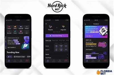 Contact Hard Rock Bet Customer Service for Immediate Assistance and Inquiries
